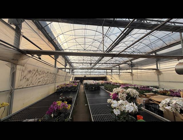 40,471M² SMALLHOLDING FOR SALE IN BENONI AH